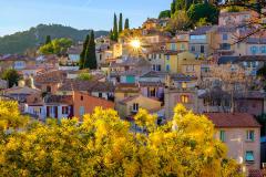 vue-panoramique-bormes-les-mimosas-logicimmo