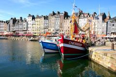 bassin-honfleur-logicimmo