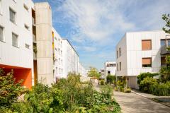 vue sur une rue pietonne entourée de bâtiments neufs