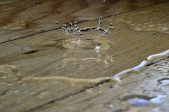 Fuite d'eau locataire ou propriétaire - Piotr Łaskawski @Unsplash