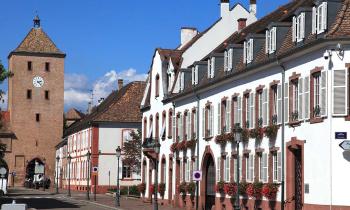 haguenau-logicimmo