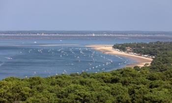 bassin arcachon