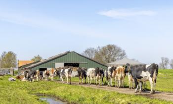 Bâtiment agricole non soumis au DPE