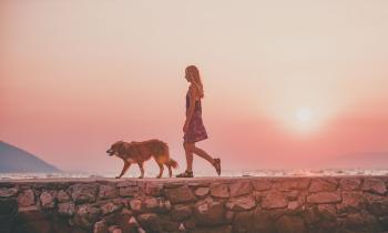 Une femme promenant son chien sans laisse sur fond de coucher de soleil