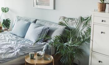 Organiser chambre d'amis