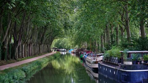 Traversée par le Canal du Midi, Ramonville dispose d’un patrimoine naturel exceptionnel. 