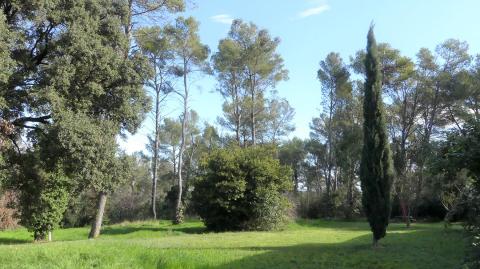 Terrain à Montferrier-sur-Lez 