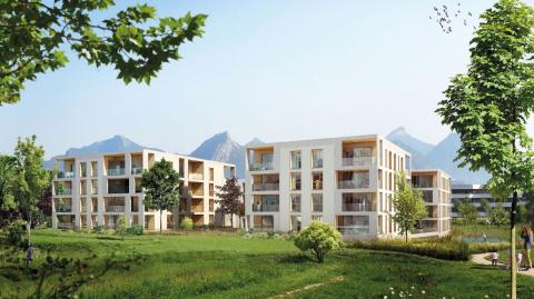 isalis-immobilier-logicimmo