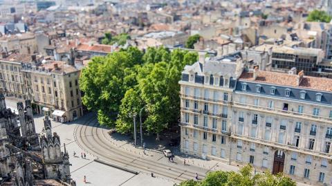 bordeaux-centre-logicimmo