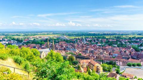 obernai-logicimmo