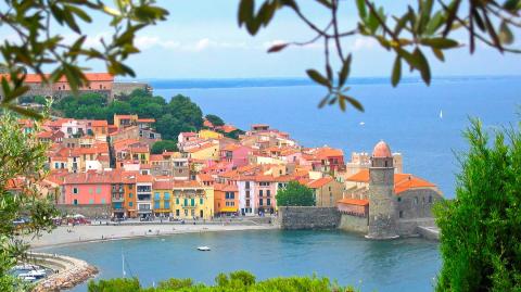 collioure-logicimmo