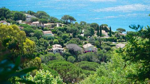 vue-aerienne-sainte-maxime-logicimmo