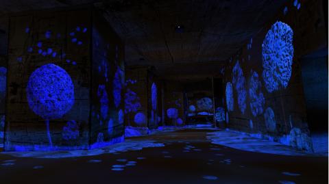 Carrières de Lumières forêt d'Yves Klein