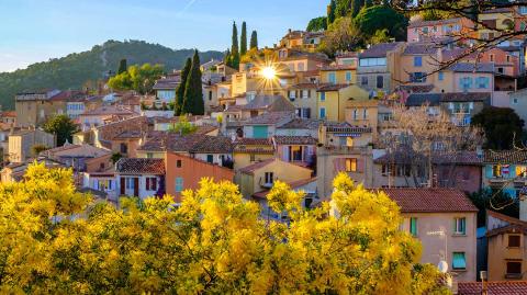 vue-panoramique-bormes-les-mimosas-logicimmo