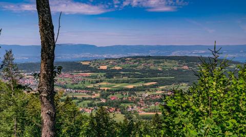 vue-sur-bons-en-chablais-logicimmo