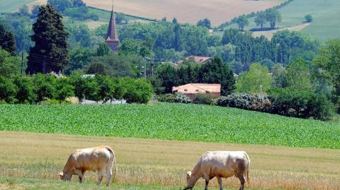 vue-sur-samatan-logicimmo