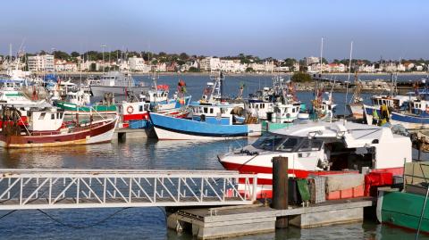 Les prix ont tendance à se stabiliser dans le Pays de Royan.