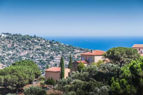 D’une manière générale, les secteurs proches des plages sont prisés. © navarro raphael - Adobe Stock