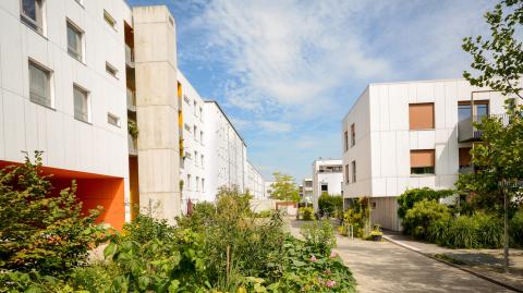 vue sur une rue pietonne entourée de bâtiments neufs