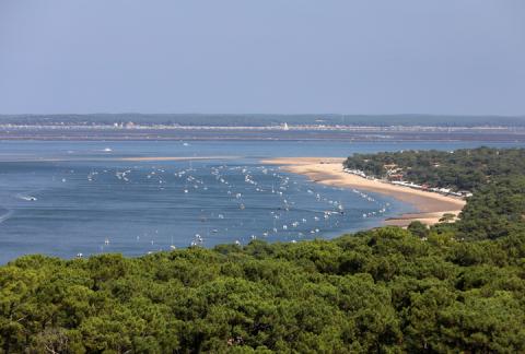 bassin arcachon