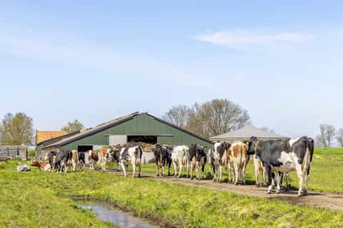 Bâtiment agricole non soumis au DPE