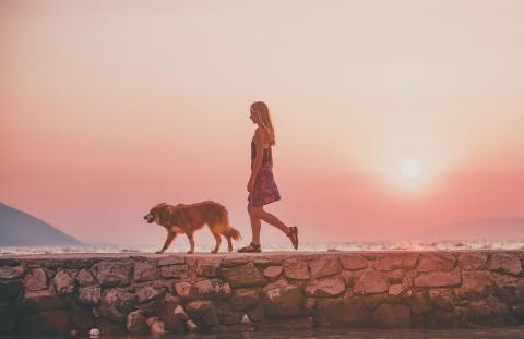 Une femme promenant son chien sans laisse sur fond de coucher de soleil