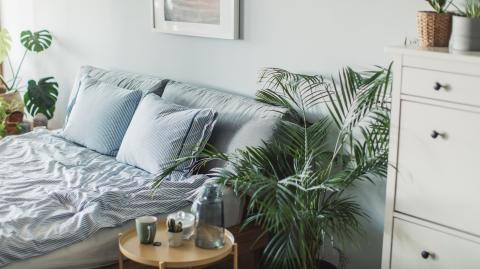 Organiser chambre d'amis