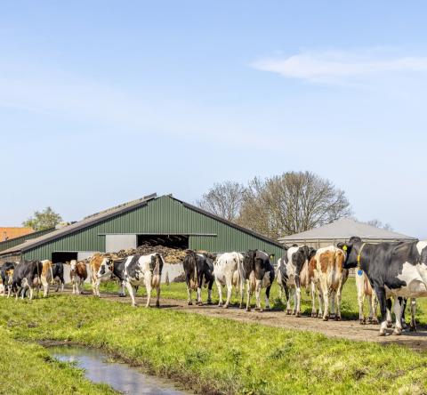 Bâtiment agricole non soumis au DPE