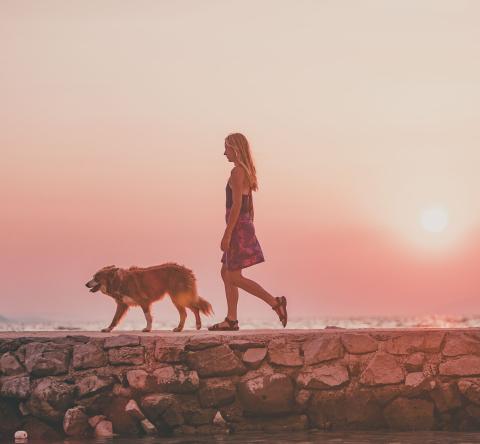 Une femme promenant son chien sans laisse sur fond de coucher de soleil